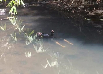 Sesosok Mayat Pria Mengambang Di Sungai Desa Ciapus
