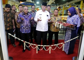 Gubernur Banten Wahidin Halim