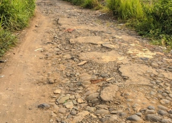 Kondisi salah satu ruas jalan di Desa Pabuaran, Kabupaten Serang.