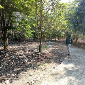 Kondisi hutan kota yang ada di Kota Serang terlihat tak terawat. (Diebaj/BantenPos)