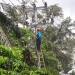 Petugas PLN Rayon Malingping sedang melakukan perbaikan jaringan listrik di wilayah Lebak selatan. Poto belum lama ini.
