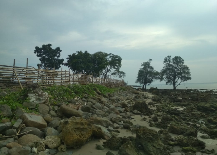 Pagar bambu sebagai batas lahan milik PT SKL di sempadan pantai Desa Taman Jaya.