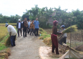 Bambang Wisanggeni Dorong Produksi Beras Banten Kualitas Nasional