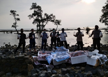 LPSPL Serang bersama Polres Serang Kota dan SKIPM Kelas II Merak saat akan melepasliarkan ribuan benih lobster.