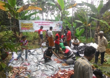 Dokumentasi Qurban yang dilaksanakan oleh ACT Banten tahun lalu.