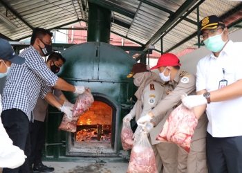 4 Ton Daging Celeng Ilegal Dimusnahkan Karantina Pertanian Cilegon