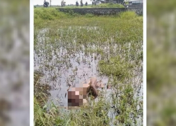 Foto Mayat tergeletak di areal persawahan. (Istimewa)