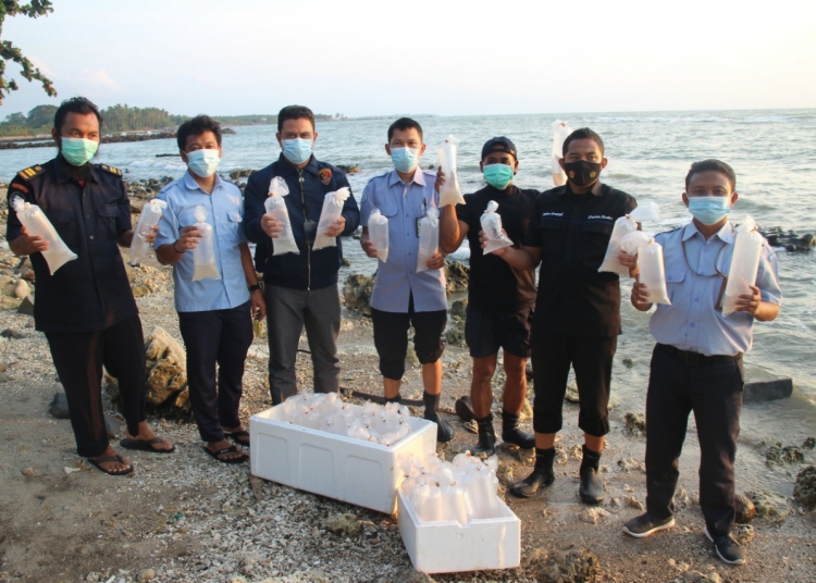 Penyelundupan 12.000 Benih Lobster di Malingping Digagalkan Polisi