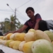 PENJUALAN TIMUN SURI JELANG PUASA- Pedagang menata timun suri di kawasan Alun-alun Barat, Kota Serang, Rabu (31/3). Timun suri tersebut dijual mulai dari hari Rp5.000-Rp20.000 per buah bergantung ukuran. (FOTO : DZIKI OKTOMAULIYADI)
