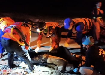 Tim Basarnas Banten saat lakukan evakuasi sesosok mayat pria tanpa indentitas yang ditemukan dibelakang pabrik Chandra Asri / ISTIMEWA