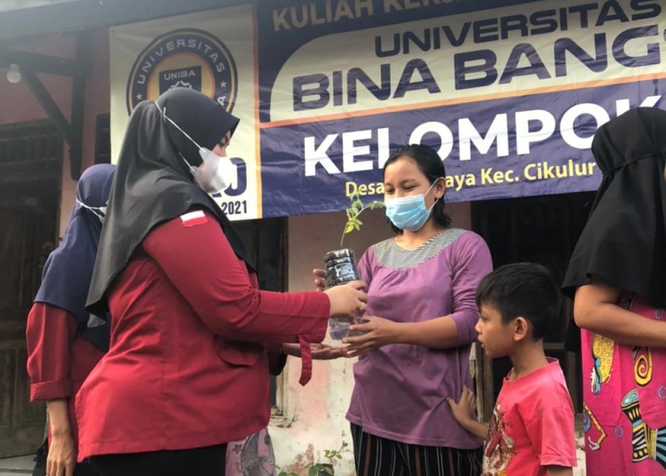 Giat KKM UNIBA 2021,  Edukasi Tanaman Hidroponik dan Seminar Ekonomi
