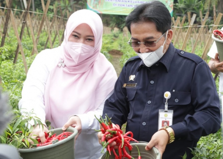 Program Pertanian Keluarga Dilanjutkan