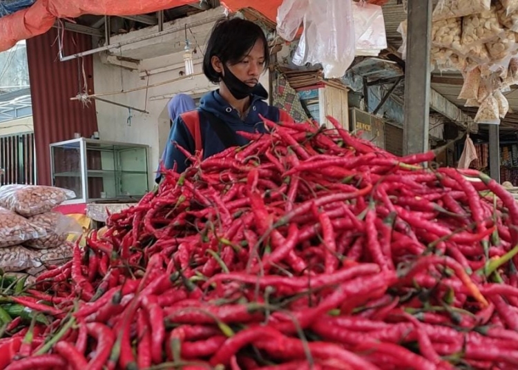 Harga Cabai Makin ‘Pedas’