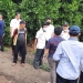 Tim DKPP dan Disporapar Kabupaten Serang saat meninjau lokasi di Desa/Kecamatan Tanara pekan kemarin.