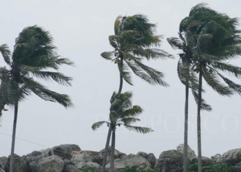 Ilustrasi angin kencang.