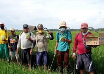 Petani di Baksel menolak rencana pemerintah mencabut subsidi pada empat jenis pupuk yang sangat dibutuhkan para petani. Tampak sejumlah petani tengah berkumpul di persawahan Desa Bolang Kecamatan Malingping, Minggu (13/03