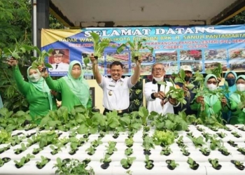 Wakil Walikota Cilegon Sanuji Pentamarta saat meresmikan KWT Kenikir di PCI Blok D, Rabu (9/3). LUKMAN HAPIDIN/BANTEN POS