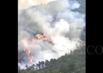 Jatuhnya pesawat China Eastern Airlines di lereng gujung di wilayah Guangxi, Senin (21/3) mengakibatkan hutan terbakar. Namun, berhasil dipadamkan. (Foto: Twitter)