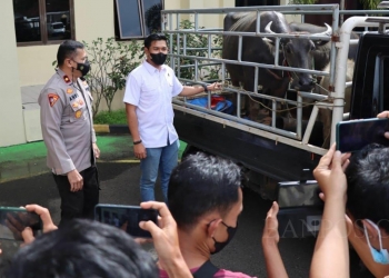 Komplotan Spesialis Pencuri Kerbau Diringkus Polres Pandeglang