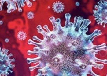 Ilustrasi Coronavirus (Foto: Net)