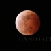 Gerhana bulan total. ANTARA/HO-BMKG