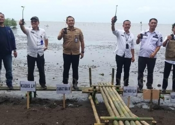 kegiatan penanaman pohon mangrove di kawasan pesisir Desa Marga Mulya, Kecamatan Mauk, Kabupaten Tangerang. ISTIMEWA