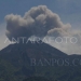 Luncuran Awan Panas Guguran Merapi pada Sabtu, (11/3)