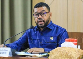 Wakil Ketua Komite II DPD Filep Wamafma. (Foto: DPD)