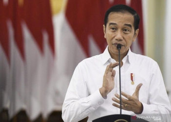 Banyak Yang Senang Jokowi Cawe-cawe Utuk Indonesia