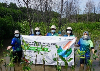 LindungiHutan Tanam 450 Ribu Pohon Di 42 Lokasi