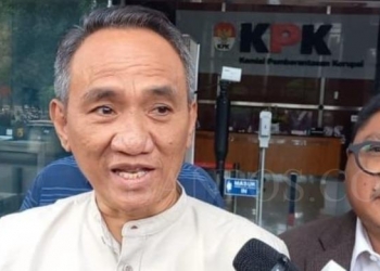 Politikus Demokrat Andi Arief.