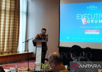 Deputi Bidang Hilirisasi Strategis Kementerian Investasi/BKPM, Heldy Satrya Putera.