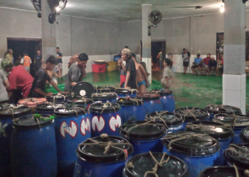 Aktifitas pelelangan di TPI Labuan.