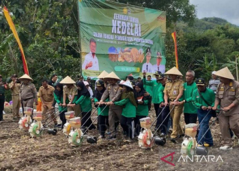 penuhi produksi dalam negeri