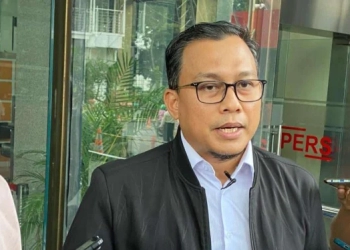 syahrul yasin