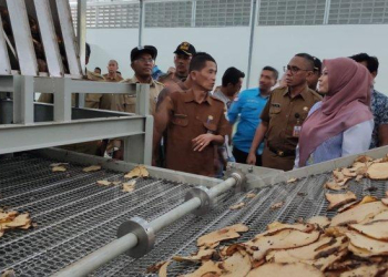 ‘Skandal’ Umbi Porang BUMD Pandeglang