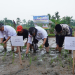 Mentan RI, Syahrul Yasin Limpo bersama Bupati Pandeglang, Irna Narulita saat melakukan tanam padi.