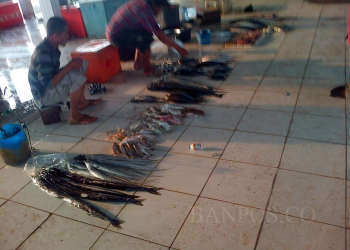 Cuaca Bagus, Tangkapan Ikan di Lebak Melimpah