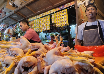 Penjual Ayam di Pasar Induk Rau. (EDWIN MAHESA)