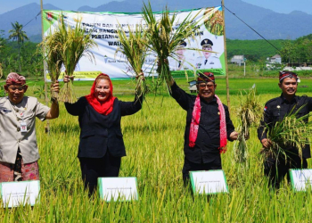Biosaka Tidak Bisa Dijual Massal, Ini Alasannya