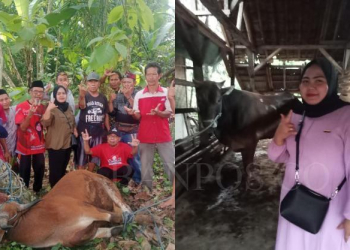 Calon Legislatif (Caleg) DPRD Kabupaten Lebak Dapil 3 Dari Partai PDI Perjuangan, Tika Kartika Sari.