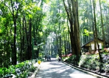 Suasana di Taman Hutan Rakyat di Kecamatan Carita, Kabupaten Pandeglang.