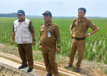 Kepala Bidang Pengendalian dan Penanggulangan Bencana Pertanian Dinas Pertanian Provinsi Banten Saiful Bahri Maemun meninjau pemanfaatan pompa untuk pengairan sawah di wilayah Kabupaten Pandeglang. (ANTARA/Mulyana)