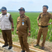 Kepala Bidang Pengendalian dan Penanggulangan Bencana Pertanian Dinas Pertanian Provinsi Banten Saiful Bahri Maemun meninjau pemanfaatan pompa untuk pengairan sawah di wilayah Kabupaten Pandeglang. (ANTARA/Mulyana)