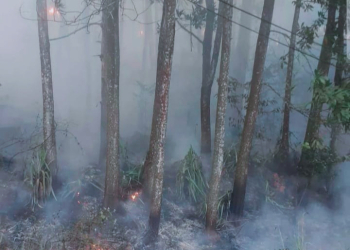 Tampak ketika situasi lahan Perhutani yang berada di Desa Keramatjaya Kecamatan Gunungkencana mengalami terbakar dahsyat hingga ke pinggir jalan. Ini menggasak lahan hutan sekitar 60 ribu meter persegi, pada Rabu sore (16/08). Area kebakaran itu tidak jauh dari pemukiman warga Kampung Lebakjati.