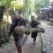 Pemanggul buah durian di Baduy pedalaman, Kabupaten Lebak, menembus hutan dan tebing curam. ANTARA/Mansur Suryana