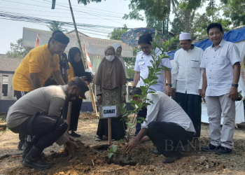Penanaman pohon Keras dan Buah Buahan