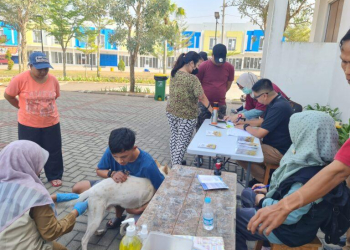 Upaya vaksinasi hewan peliharaan warga untuk tahap pertama di Lebak kini dilaksanakan Disnakeswan Lebak. Seperti vaksinasi rabies pada anjing yang dilaksanakan di daerah Kecamatan Maja, Selasa (05/09).