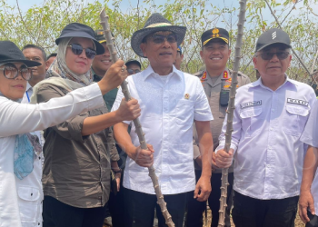 Atasi Keterbatasan Pupuk Subsidi
