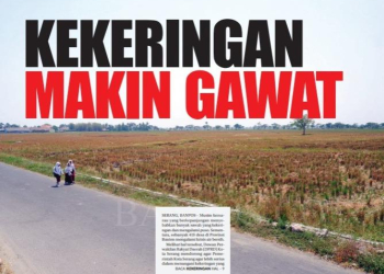 Musim kemarau